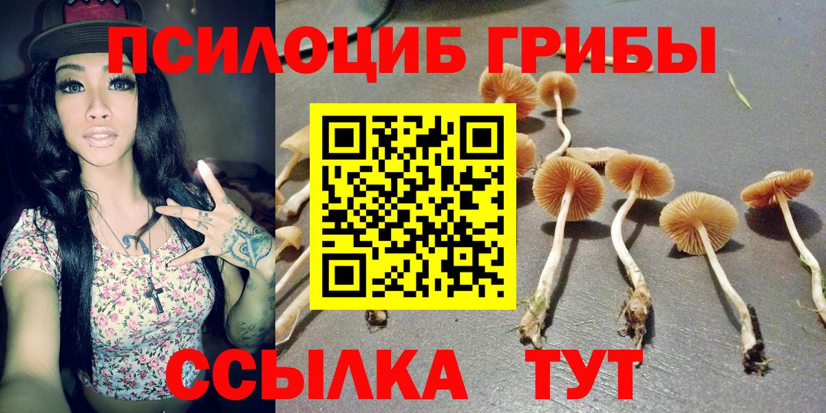 Псилоцибиновые грибы мухоморы  Вход с VPN  Псилоцибиновые грибы мицелий  Нижний Новгород 
