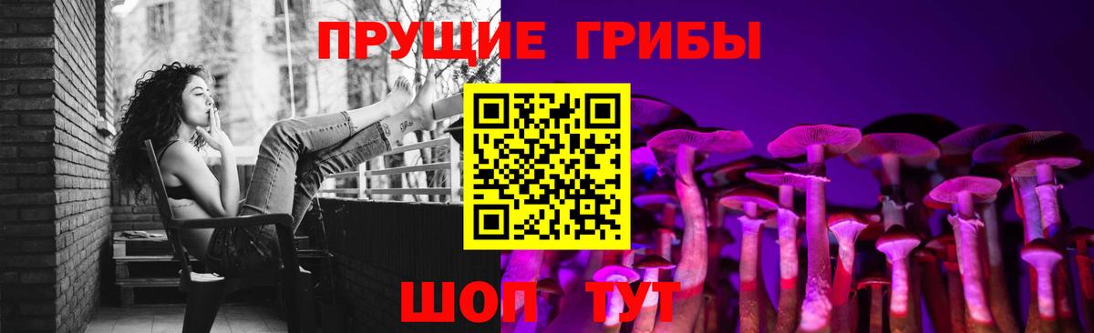 Псилоцибиновые грибы GOLDEN TEACHER Нижний Новгород